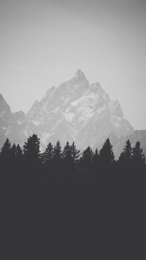 IMG_4018.jpeg